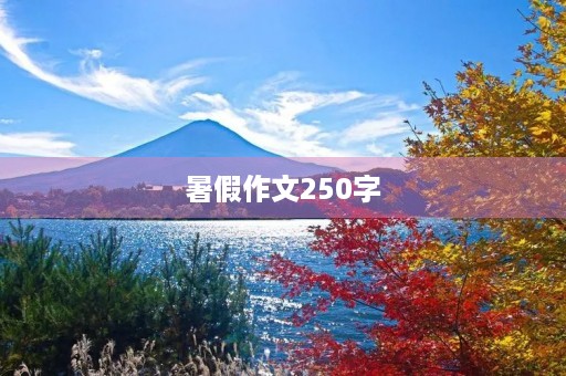 暑假作文250字 暑假作文250字