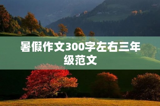 暑假作文300字左右三年级范文
