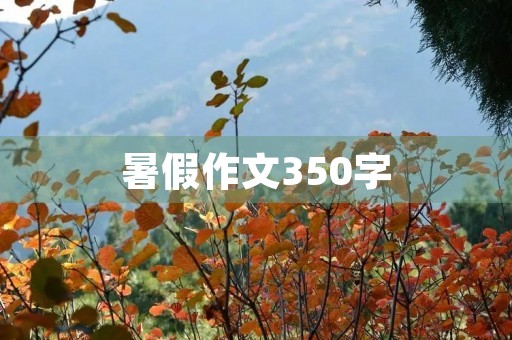暑假作文350字