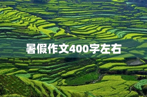 暑假作文400字左右