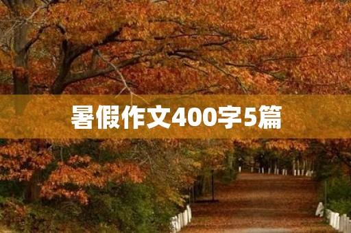 暑假作文400字5篇