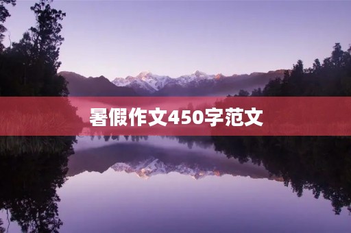 暑假作文450字范文