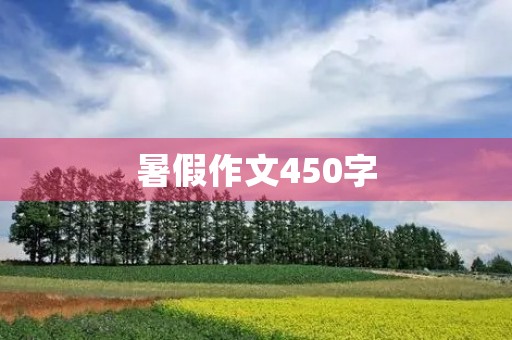 暑假作文450字