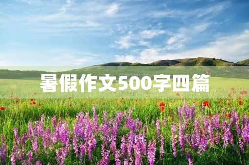 暑假作文500字四篇