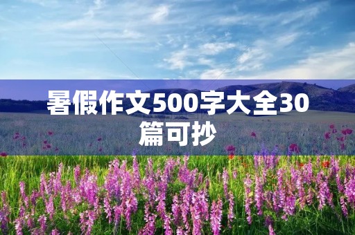 暑假作文500字大全30篇可抄 暑假作文500字大全30篇可抄