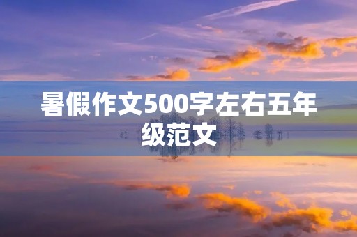 暑假作文500字左右五年级范文