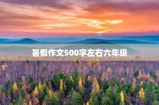 暑假作文500字左右六年级