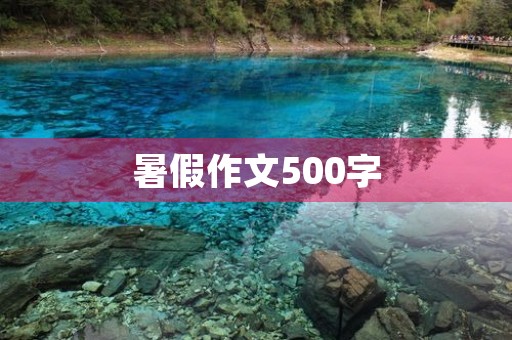 暑假作文500字