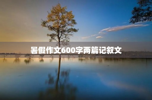 暑假作文600字两篇记叙文 暑假作文600字两篇记叙文