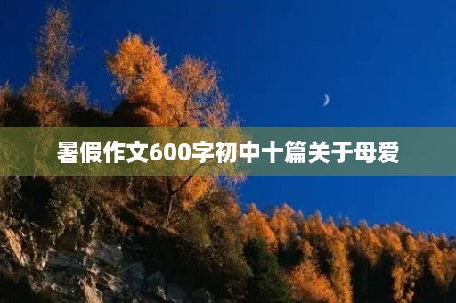 暑假作文600字初中十篇关于母爱 暑假作文600字初中十篇关于母爱