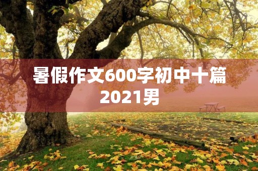 暑假作文600字初中十篇2021男