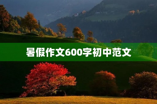 暑假作文600字初中范文 暑假作文600字初中范文