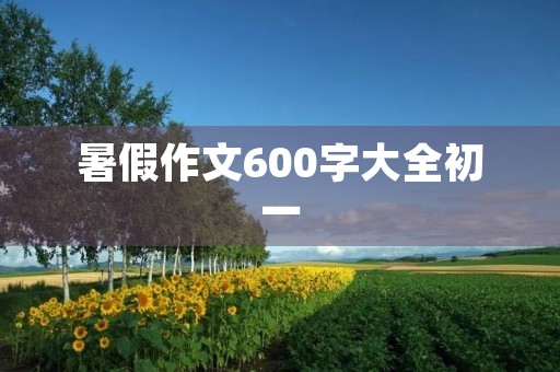 暑假作文600字大全初一 暑假作文600字大全初一