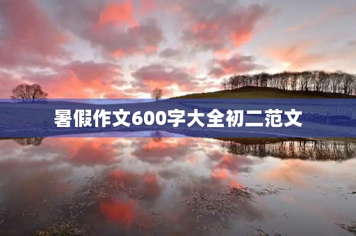 暑假作文600字大全初二范文