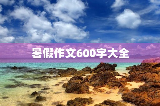 暑假作文600字大全