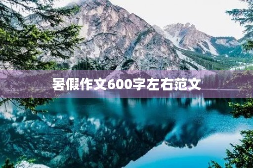 暑假作文600字左右范文