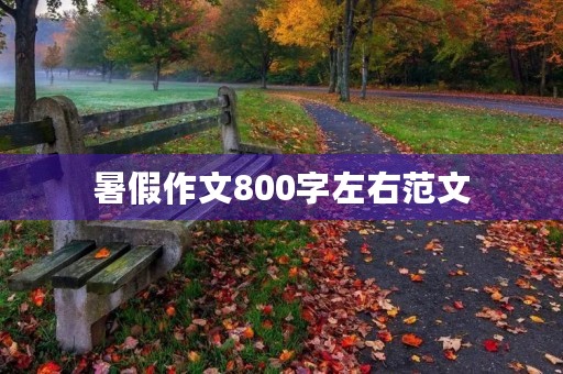 暑假作文800字左右范文 暑假作文800字左右范文