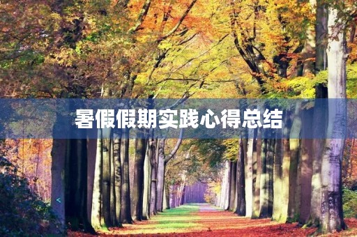 暑假假期实践心得总结