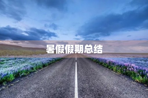 暑假假期总结 暑假假期总结