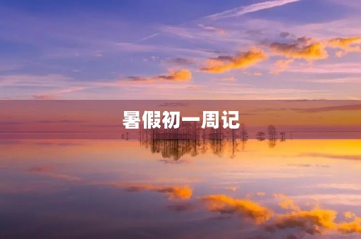 暑假初一周记 暑假初一周记