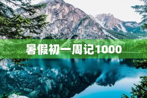 暑假初一周记1000
