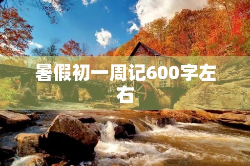 暑假初一周记600字左右