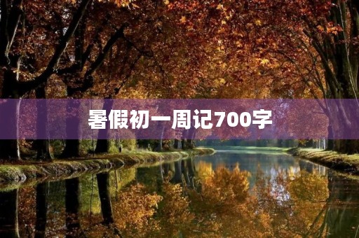 暑假初一周记700字