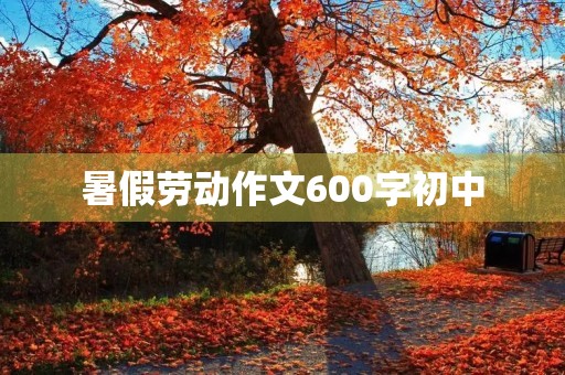 暑假劳动作文600字初中 暑假劳动作文600字初中