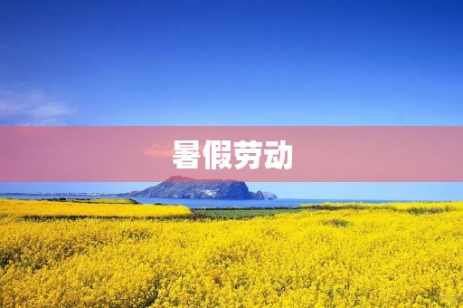 暑假劳动 暑假劳动
