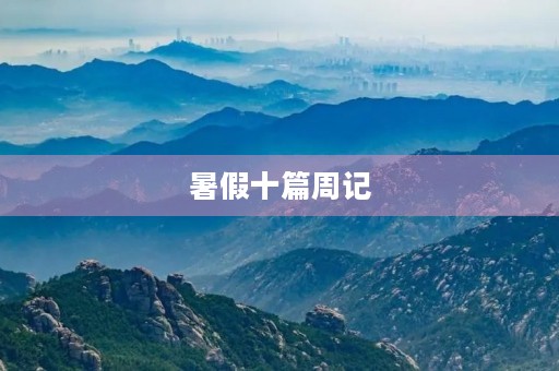 暑假十篇周记