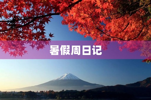 暑假周日记 暑假周日记
