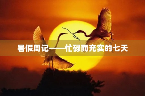 暑假周记——忙碌而充实的七天 暑假周记——忙碌而充实的七天