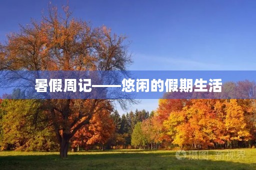 暑假周记——悠闲的假期生活 暑假周记——悠闲的假期生活