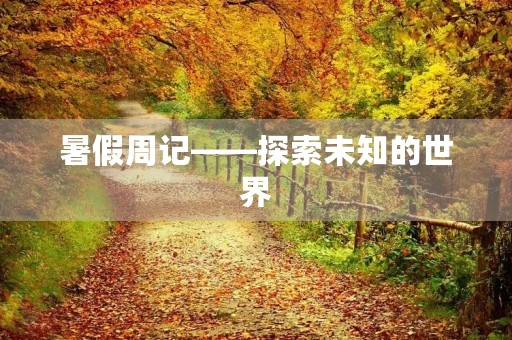 暑假周记——探索未知的世界
