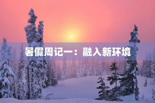 暑假周记一:融入新环境 暑假周记一:融入新环境
