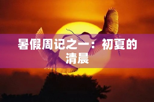 暑假周记之一:初夏的清晨 暑假周记之一:初夏的清晨