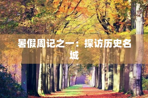 暑假周记之一:探访历史名城 暑假周记之一:探访历史名城