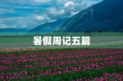 暑假周记五篇