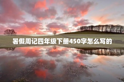 暑假周记四年级下册450字怎么写的 暑假周记四年级下册450字怎么写的