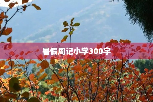 暑假周记小学300字 暑假周记小学300字