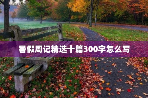 暑假周记精选十篇300字怎么写 暑假周记精选十篇300字怎么写
