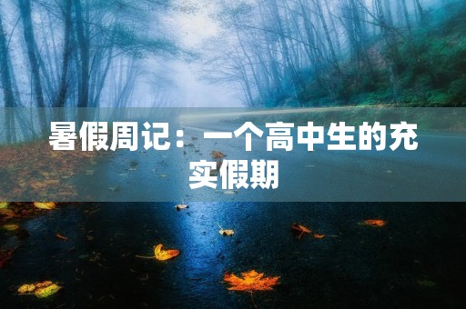 暑假周记：一个高中生的充实假期