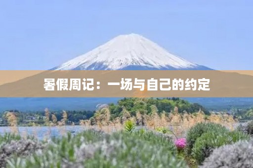 暑假周记:一场与自己的约定 暑假周记:一场与自己的约定