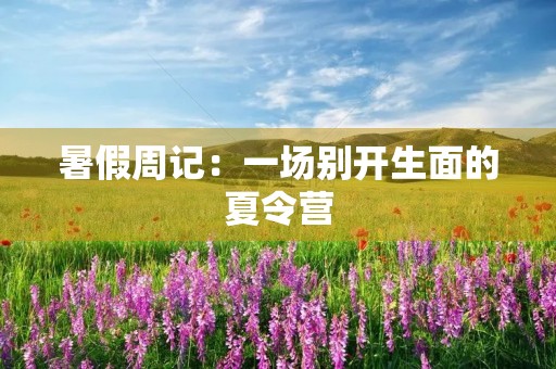 暑假周记:一场别开生面的夏令营 暑假周记:一场别开生面的夏令营