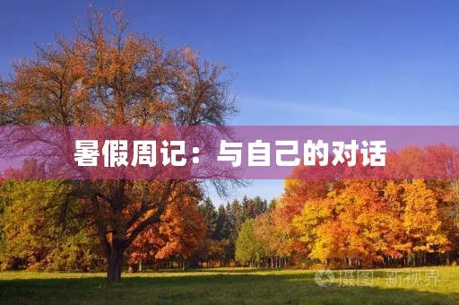 暑假周记:与自己的对话 暑假周记:与自己的对话