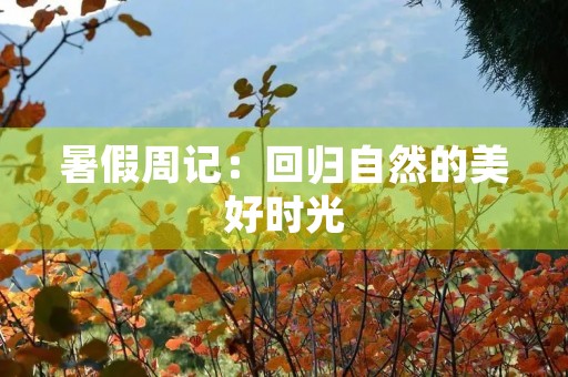 暑假周记：回归自然的美好时光