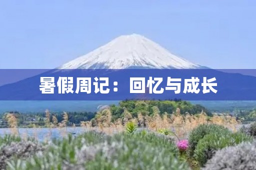 暑假周记:回忆与成长 暑假周记:回忆与成长