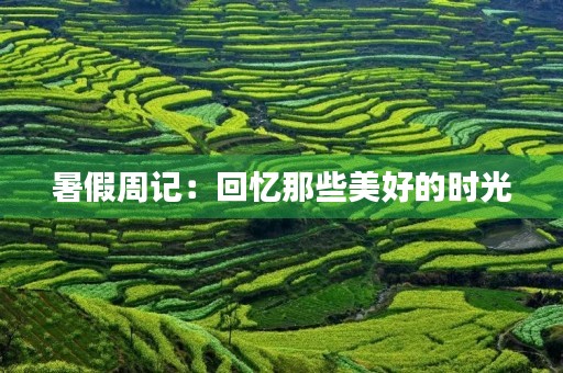 暑假周记:回忆那些美好的时光 暑假周记:回忆那些美好的时光
