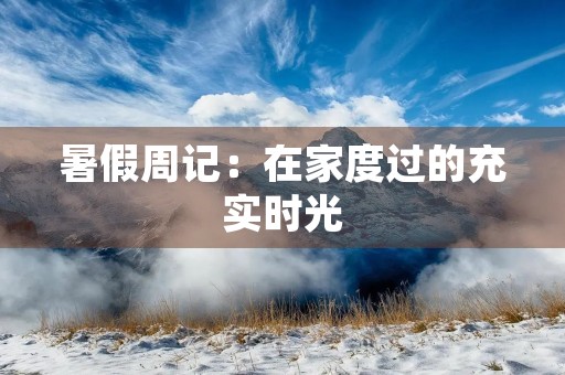 暑假周记：在家度过的充实时光