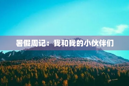 暑假周记：我和我的小伙伴们